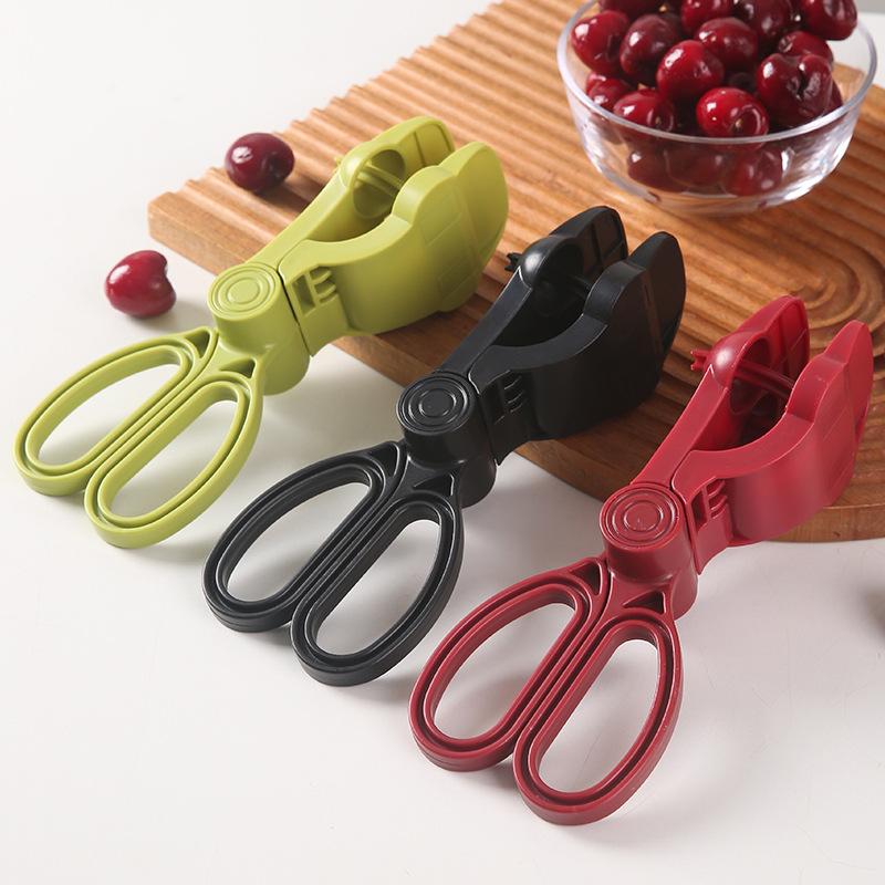 Ergonomic Handle Cherry Pit Re - đánh giá và giá Cherry Pitter Tool