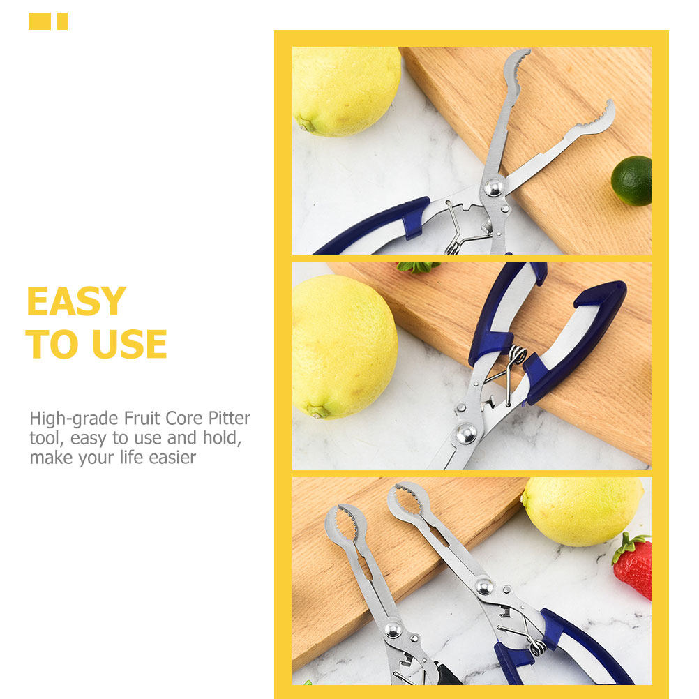 Stainless Steel Hawthorn Core  - đánh giá và giá Cherry Pitter Tool