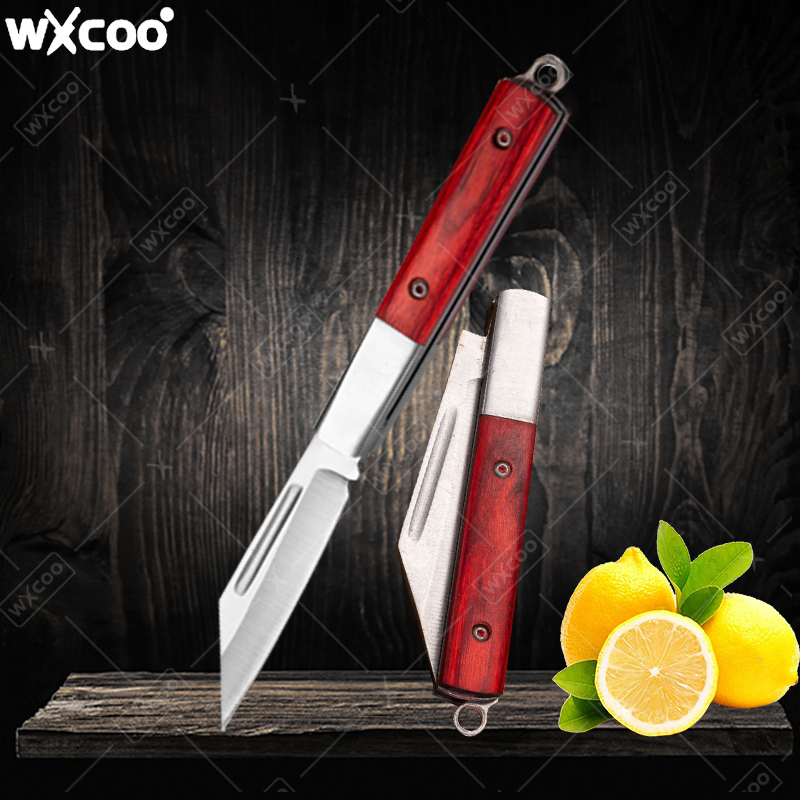 Stainless Steel Pocket Knife R - đánh giá và giá Kitchen Gadgets Sale