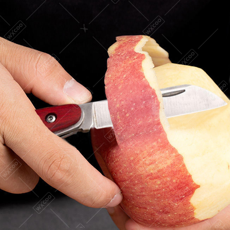 Stainless Steel Pocket Knife R - đánh giá và giá Kitchen Gadgets Sale