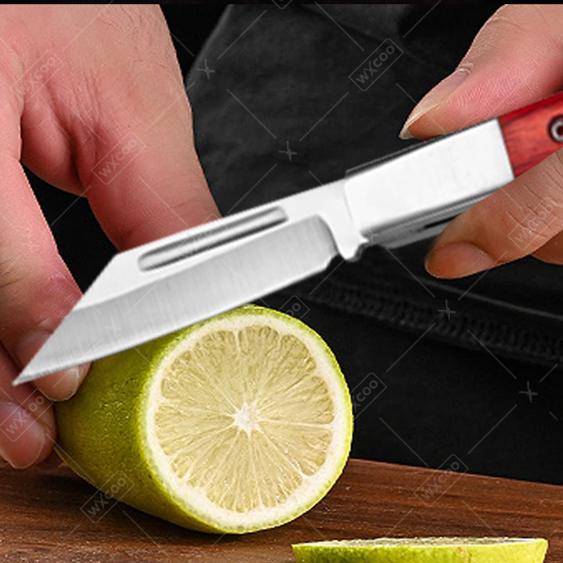 Stainless Steel Pocket Knife R - đánh giá và giá Kitchen Gadgets Sale